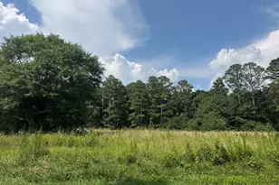 112 Melrose Rd, Bowdon, GA 30108 - Photo 14