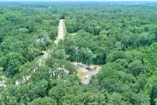 2009 Polk Rd N, Statesboro, GA 30458 - Photo 16