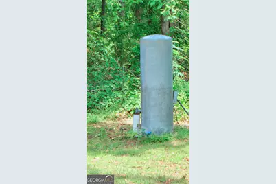 2009 Polk Road N, Statesboro, GA 30458 - Photo 8