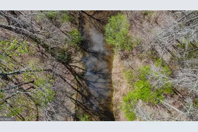 Tract 2 Cross Plains Hulett, Carrollton, GA 30116 - Photo 4