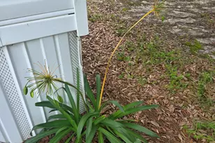 21 White Acre Ln, Baxley, GA 31513 - Photo 8