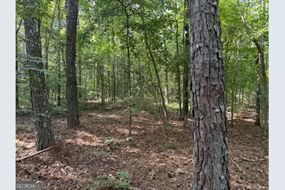 0 Clear Lake Drive, Adairsville, GA 30103 - Photo 20