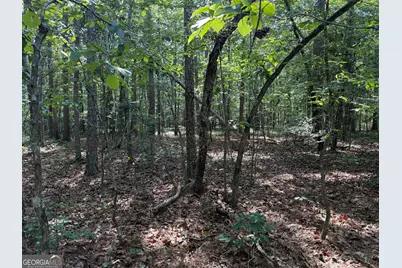 0 Clear Lake Drive, Adairsville, GA 30103 - Photo 8