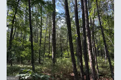 0 Clear Lake Drive, Adairsville, GA 30103 - Photo 18