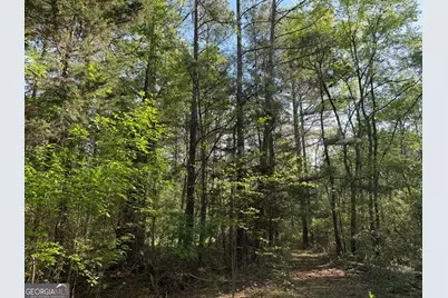0 Clear Lake Drive, Adairsville, GA 30103 - Photo 38
