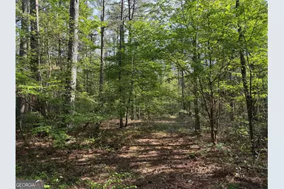 0 Clear Lake Drive, Adairsville, GA 30103 - Photo 26
