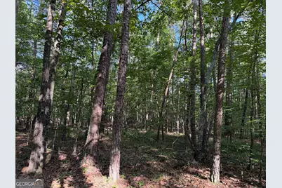 0 Clear Lake Drive, Adairsville, GA 30103 - Photo 4