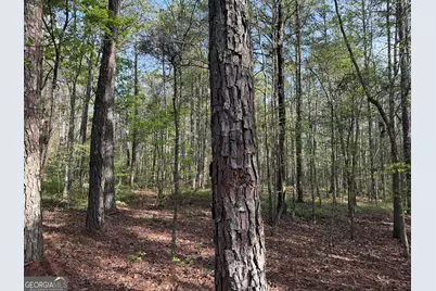 0 Clear Lake Drive, Adairsville, GA 30103 - Photo 30