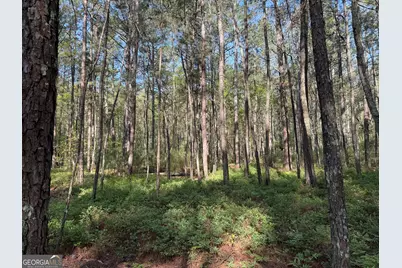 0 Clear Lake Drive, Adairsville, GA 30103 - Photo 36