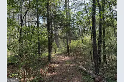 0 Clear Lake Drive, Adairsville, GA 30103 - Photo 24