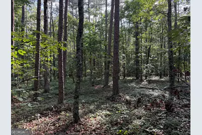 0 Clear Lake Drive, Adairsville, GA 30103 - Photo 10