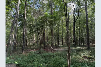 0 Clear Lake Drive, Adairsville, GA 30103 - Photo 2