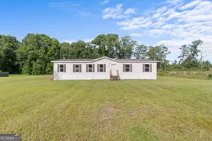6641 Cecil Nobles Hwy, Ludowici, GA 31316 - Photo 1