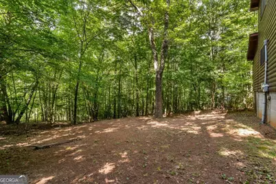 162 Little Falls Drive, Mineral Bluff, GA 30559 - Photo 44