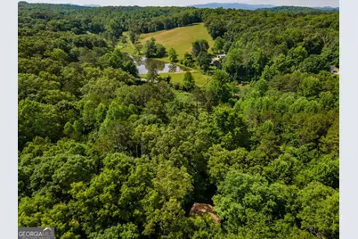 162 Little Falls Drive, Mineral Bluff, GA 30559 - Photo 46