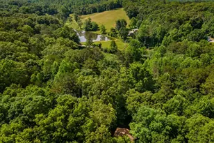 162 Little Falls Dr, Mineral Bluff, GA 30559 - Photo 46