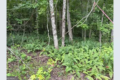 Lot 188 Northshore At Redwine Drive, Newnan, GA 30263 - Photo 32