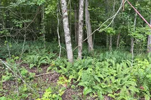 Lot 188 Northshore At Redwine Dr, Newnan, GA 30263 - Photo 32