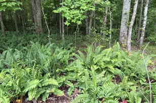 Lot 188 Northshore At Redwine Dr, Newnan, GA 30263 - Photo 34