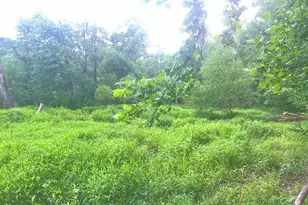 1589 Deerfield Farms Rd, Monticello, GA 31064 - Photo 52