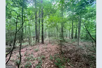 1589 Deer Field Farms Road, Monticello, GA 31064 - Photo 36