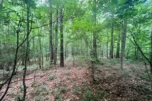 1589 Deerfield Farms Rd, Monticello, GA 31064 - Photo 36