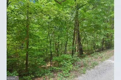 0 Wauka Ridge Road, Clermont, GA 30527 - Photo 16