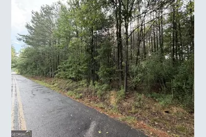 Ervin Coker Rd. Ervin Coker Road, Rome, GA 30161 - Photo 2
