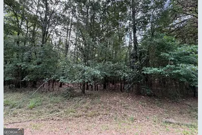 0 Cleveland Avenue, Buckhead, GA 30625 - Photo 2