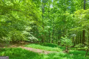 2209 Hwy 184 N, Toccoa, GA 30577 - Photo 50
