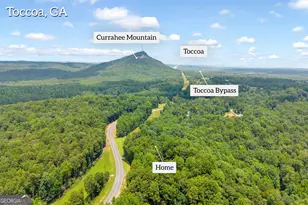 2209 Hwy 184 N, Toccoa, GA 30577 - Photo 38