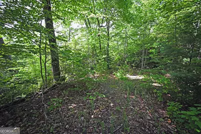 Lot 3 The Ridges, Hiawassee, GA 30546 - Photo 8