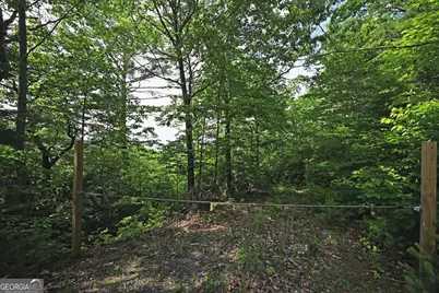 Lot 3 The Ridges, Hiawassee, GA 30546 - Photo 20