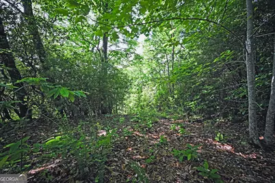 Lot 3 The Ridges, Hiawassee, GA 30546 - Photo 14
