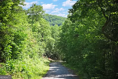 Lot 3 The Ridges, Hiawassee, GA 30546 - Photo 6
