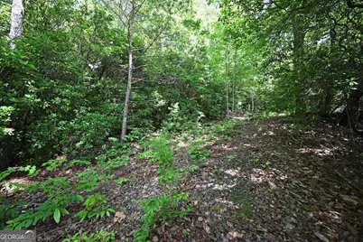 Lot 3 The Ridges, Hiawassee, GA 30546 - Photo 10