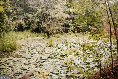 104 Lo Valley Drive, Eatonton, GA 31024 - Photo 4