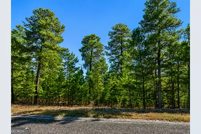 28.95 Acres Horne Road, Roberta, GA 31078 - Photo 2
