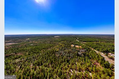 28.95 Acres Horne Road, Roberta, GA 31078 - Photo 8