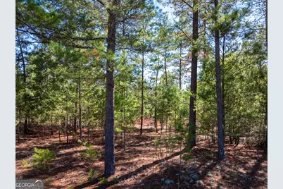 28.95 Acres Horne Road, Roberta, GA 31078 - Photo 1