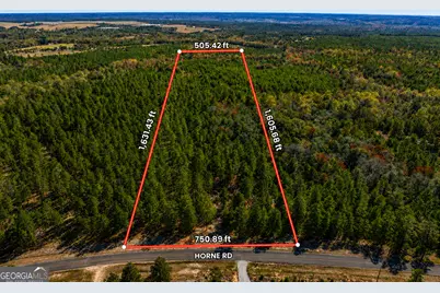 28.95 Acres Horne Road, Roberta, GA 31078 - Photo 4