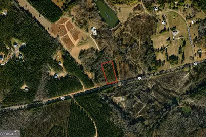 2.5 Acres Highway 22, Haddock, GA 31033 - Photo 10