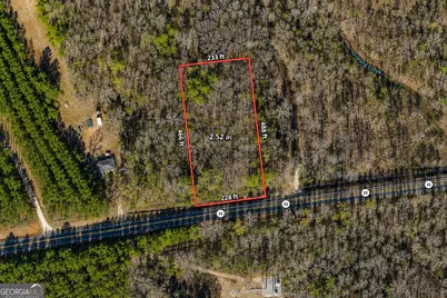 2.5 Acres Highway 22, Haddock, GA 31033 - Photo 2