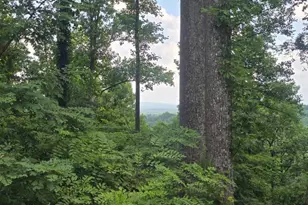 001 Windning Ridge, Blairsville, GA 30514 - Photo 1