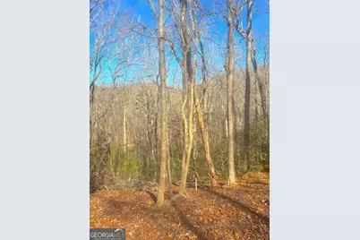00 Horse Cove Court, Jasper, GA 30143 - Photo 18