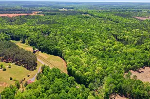 414 Parker Branch Rd, Barnesville, GA 30204 - Photo 80