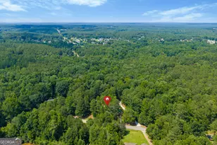 61 Turner Rd, McDonough, GA 30252 - Photo 46