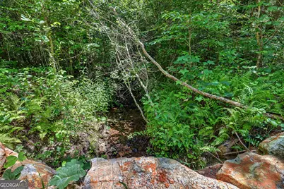 0 Hwy 76 W, Clayton, GA 30525 - Photo 12