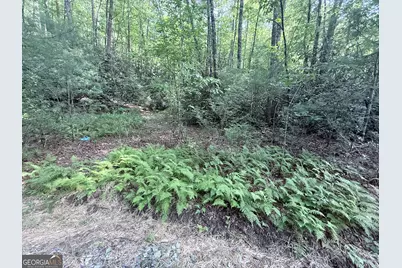 0 Hwy 76 W, Clayton, GA 30525 - Photo 28