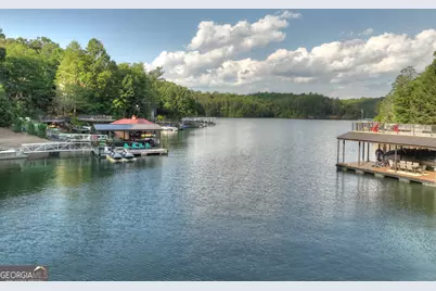 1820 Shady Falls Road, Blue Ridge, GA 30513 - Photo 54